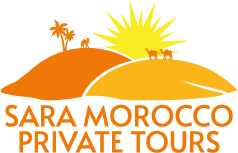 Sara Morocco Private Tours Marrakech Highlights Majorelle Bahia Palace Mellah Amp Souks Private Tour