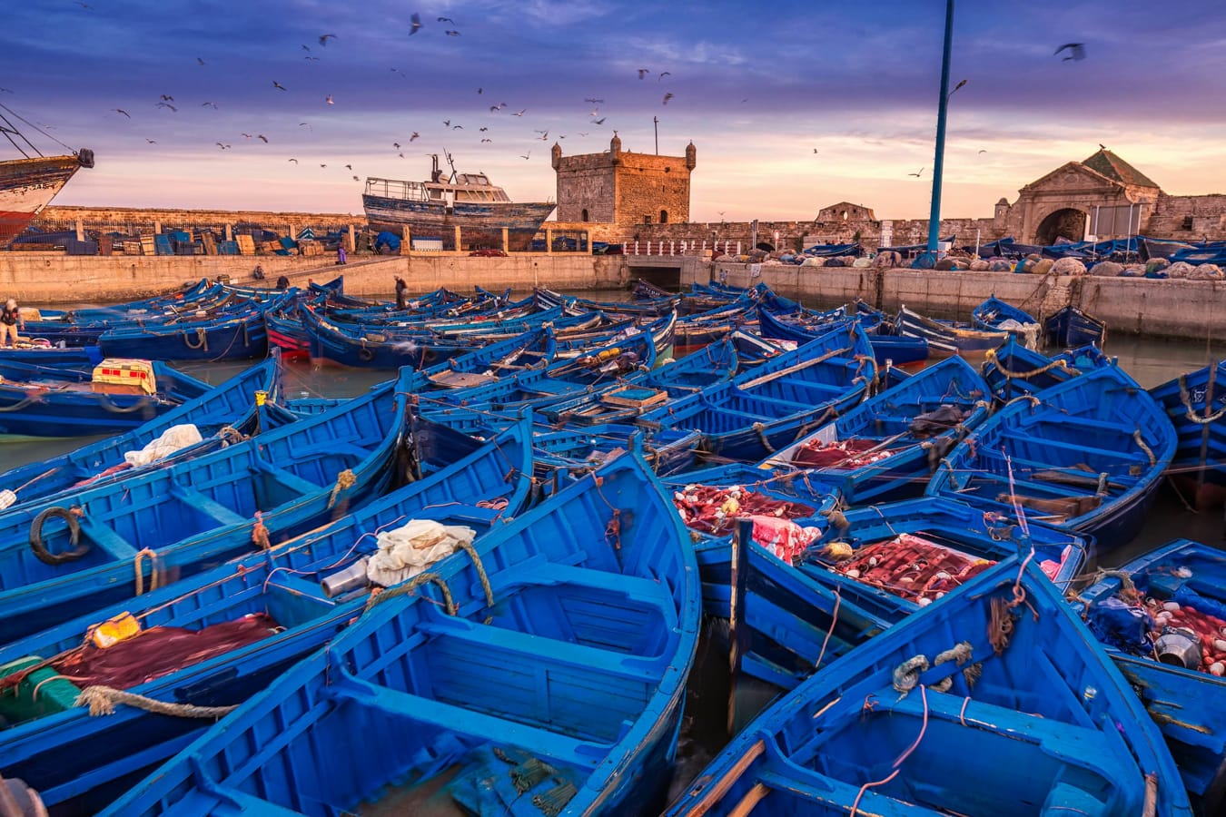 56e4a8e265a1f7a3a246b85bcf88d672-essaouira