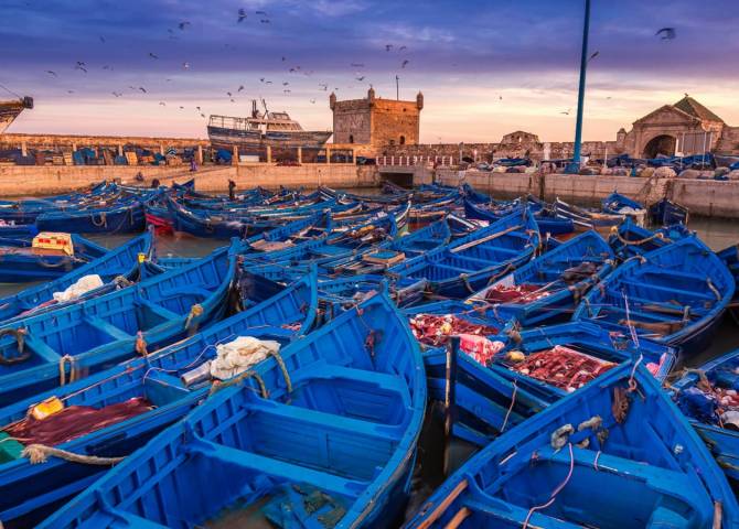 56e4a8e265a1f7a3a246b85bcf88d672-essaouira